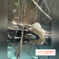 ZooParc de Beauval et Hôtel Les Pagodes de Beauval - IMG 5614