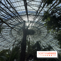 ZooParc de Beauval et Hôtel Les Pagodes de Beauval - IMG 5633