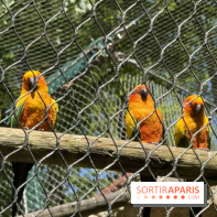 ZooParc de Beauval et Hôtel Les Pagodes de Beauval - IMG 5670