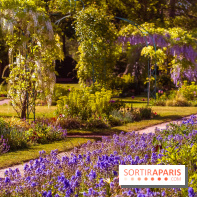 Le Parc des Ibis au Vésinet dans les Yvelines en Région Parisienne - photos  - A7200696