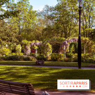 Le Parc des Ibis au Vésinet dans les Yvelines en Région Parisienne - photos  - A7200633