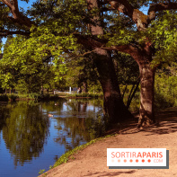 Le Parc des Ibis au Vésinet dans les Yvelines en Région Parisienne - photos  - A7200602