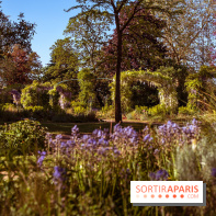 Le Parc des Ibis au Vésinet dans les Yvelines en Région Parisienne - photos  - A7200588