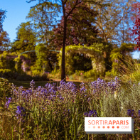 Le Parc des Ibis au Vésinet dans les Yvelines en Région Parisienne - photos  - A7200591