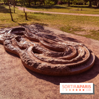 Le Parc des Ibis au Vésinet dans les Yvelines en Région Parisienne - photos  - A7200599