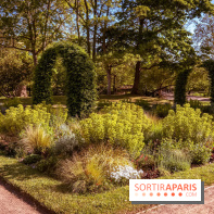 Le Parc des Ibis au Vésinet dans les Yvelines en Région Parisienne - photos  - A7200562