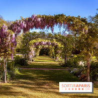 Le Parc des Ibis au Vésinet dans les Yvelines en Région Parisienne - photos  - A7200434