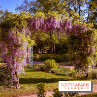 Le Parc des Ibis au Vésinet dans les Yvelines en Région Parisienne - photos  - A7200440