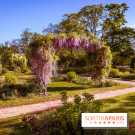 Le Parc des Ibis au Vésinet dans les Yvelines en Région Parisienne - photos  - A7200441