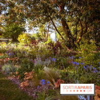 Le Parc des Ibis au Vésinet dans les Yvelines en Région Parisienne - photos  - A7200443