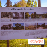 Le Parc des Ibis au Vésinet dans les Yvelines en Région Parisienne - photos