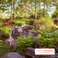 Le Parc des Ibis au Vésinet dans les Yvelines en Région Parisienne - photos  - A7200424