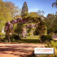 Le Parc des Ibis au Vésinet dans les Yvelines en Région Parisienne - photos  - A7200429