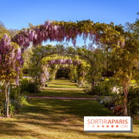 Le Parc des Ibis au Vésinet dans les Yvelines en Région Parisienne - photos  - A7200434 2