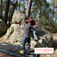 Escalade en Forêt de Fontainebleau - nos photos