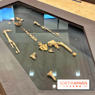 Préhistoire, entre utopie et réalité  - IMG 5563