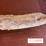 Préhistoire, entre utopie et réalité  - IMG 5569