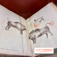 Préhistoire, entre utopie et réalité  - IMG 5581