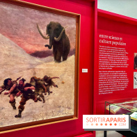 Préhistoire, entre utopie et réalité  - IMG 5583