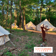 Bivouac avec les loups