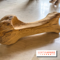 Lélia Demoisy au Domaine de Chamarande : une exposition autour des récits de forêts