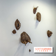 Lélia Demoisy au Domaine de Chamarande : une exposition autour des récits de forêts