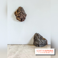 Lélia Demoisy au Domaine de Chamarande : une exposition autour des récits de forêts