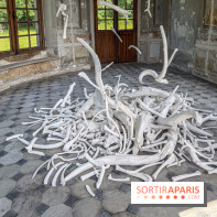 Lélia Demoisy au Domaine de Chamarande : une exposition autour des récits de forêts