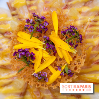 La terrasse jardin du Sax Hotel avec piscine - lcarpaccio de sériole