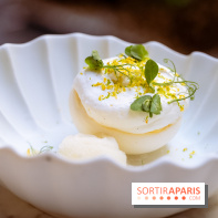 La terrasse jardin du Sax Hotel avec piscine - pavlova citron