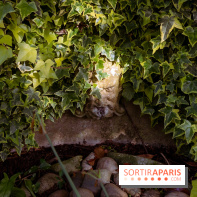 Le Parc et château de Lardy en Essonne - photos