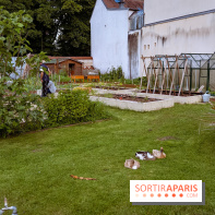 Le domaine du Chateau de la Celle SainCloud dans les Yvelines - photos