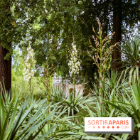 Le domaine du Chateau de la Celle SainCloud dans les Yvelines - photos