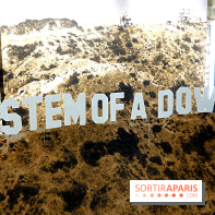 Pop-up store System of a Down à Paris - nos photos