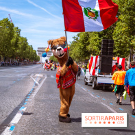 Carnaval Tropical 2026, les photos