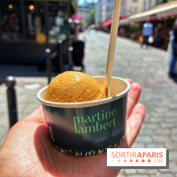 Glaces Martine Lambert