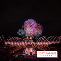 Le feux d'artifice de Paris 2026, les photos du spectacle