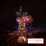 Le feux d'artifice de Paris 2026, les photos du spectacle