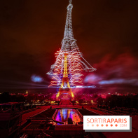Le feux d'artifice de Paris 2026, les photos du spectacle