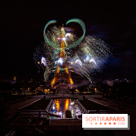 Le feux d'artifice de Paris 2026, les photos du spectacle