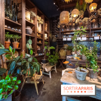 Mégie, la cantine botanique, boutique et atelier floral - photos