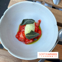 Ethanol - Fraises sauge