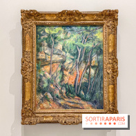 Exposition Cezanne et nous au Grand Palais