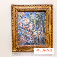 Exposition Cezanne et nous au Grand Palais