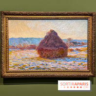 Monet, peindre le temps : l'exposition événement au musée de l’Orangerie