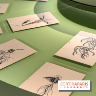 Gustave Fayet à la Fondation Louis Vuitton : Van Gogh, Gauguin et Redon dans une exposition événement