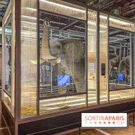 Magie à la Cité des sciences, l'expo qui explique pourquoi on se fait avoir