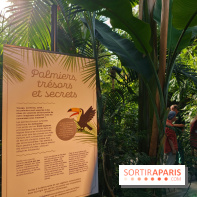 Automne tropical 2026
