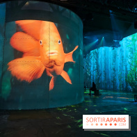 Plongez à la découverte de Planète Océan, l’exposition immersive de l’Atelier des Lumières