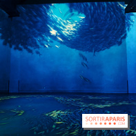 Plongez à la découverte de Planète Océan, l’exposition immersive de l’Atelier des Lumières